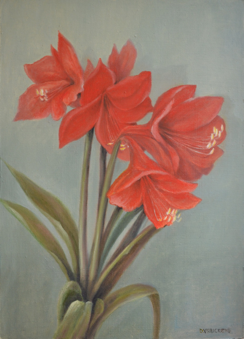 Danutė Virbickienė tapytas paveikslas Amarilis, Gėlės , paveikslai internetu