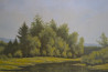Rimantas Virbickas tapytas paveikslas Prie upelio, Peizažai , paveikslai internetu