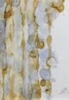 Lina Videckienė tapytas paveikslas Burbulai 2, Abstrakti tapyba , paveikslai internetu