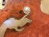 Milda Jonušauskienė tapytas paveikslas Perlas, Fantastiniai paveikslai , paveikslai internetu
