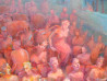 Eglė Colucci tapytas paveikslas Ištroškę pramogų, Tapyba su žmonėmis , paveikslai internetu