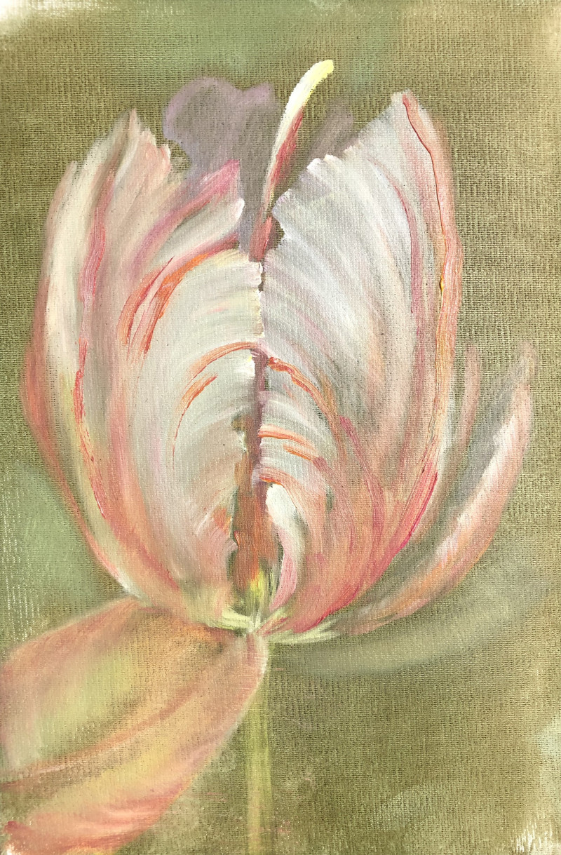 Rasa Staskonytė tapytas paveikslas Švelni tulpė, Gėlės , paveikslai internetu