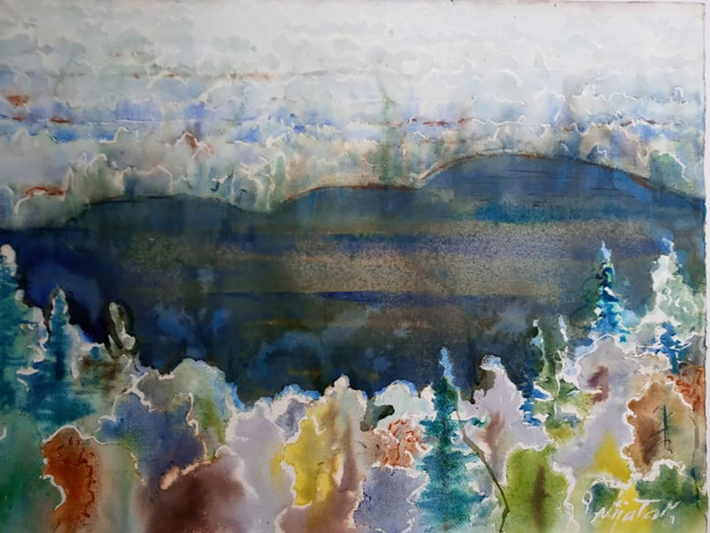 Valerija Vija Tarabildienė tapytas paveikslas Ežeras, Peizažai , paveikslai internetu