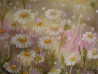 Chamomile Meadow original painting by Viktorija Labinaitė. Flowers