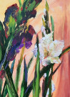Gladiolus III original painting by Vilma Vasiliauskaitė. Flowers