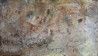 Živilė Vaičiukynienė tapytas paveikslas Saulėgrąžos. Protėvių kalba, Ramybe dvelkiantys , paveikslai internetu