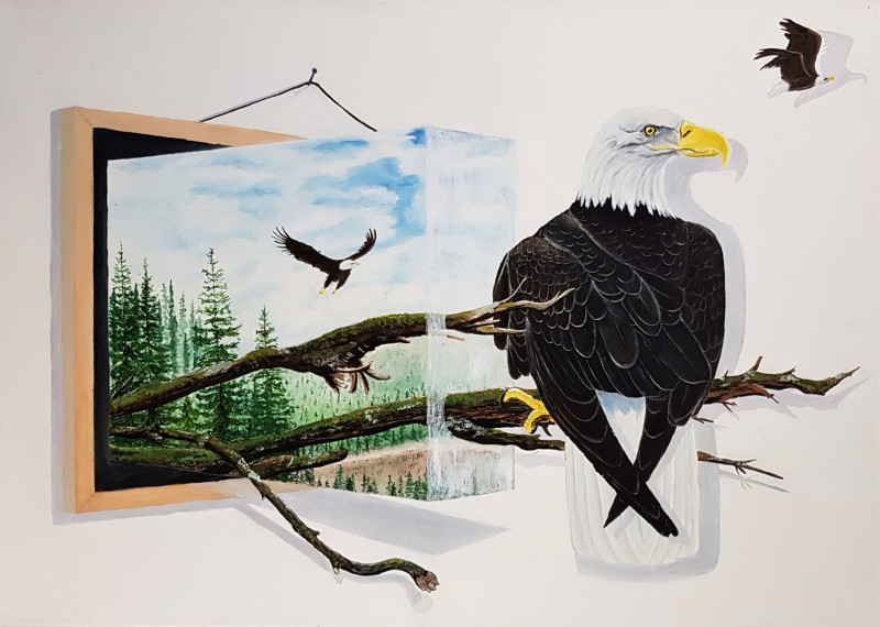 White-headed Eagle / donation to Ukraine original painting by Mantas Naulickas. Slava Ukraini