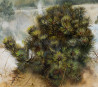 Onutė Juškienė tapytas paveikslas Skirpsto kopos pušis, Peizažai , paveikslai internetu