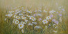 Danutė Virbickienė tapytas paveikslas Žolynų grožis, Žolynų kolekcija , paveikslai internetu