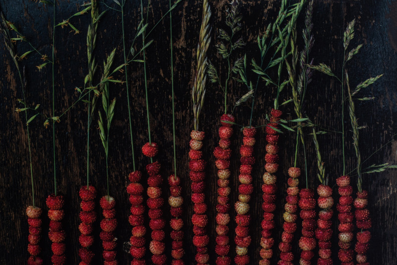 Monika Požerskytė tapytas paveikslas Life of still life nr.62, Natiurmortai , paveikslai internetu