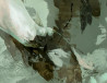 Jonas Kunickas tapytas paveikslas JK22-0301 Sirena, Aktas , paveikslai internetu