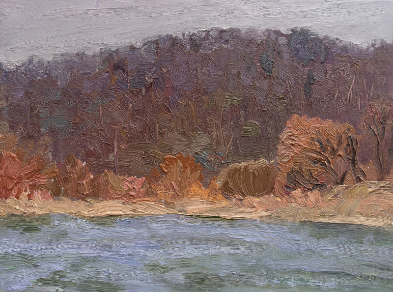 Tomas Stanaitis tapytas paveikslas Serija ,,Iš natūros”, ,,Vakarinis Neries krantas pavasarį, Peizažai , paveikslai internetu