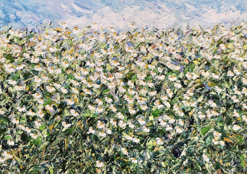 Vilma Gataveckienė tapytas paveikslas Ramunių laukas, Gėlių kalba , paveikslai internetu