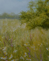 Danutė Virbickienė tapytas paveikslas Vasaros banga, Gėlės , paveikslai internetu