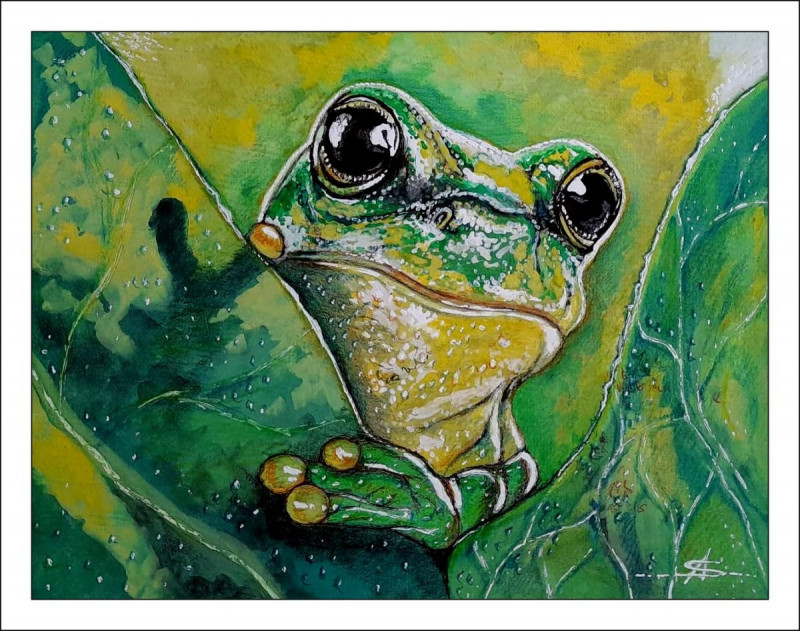 Artūras Skopas tapytas paveikslas Varliukas Frogas, Animalistiniai paveikslai , paveikslai internetu