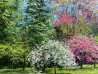 Nijolė Grigonytė-Lozovska tapytas paveikslas Penkiasdešimt pavasario atspalvių, Pavasariški , paveikslai internetu