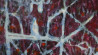 Ugnius Motiejūnas tapytas paveikslas Kringėlynas, Abstrakti tapyba , paveikslai internetu