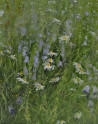 Danutė Virbickienė tapytas paveikslas Vasaros žydėjimas, Gėlės , paveikslai internetu