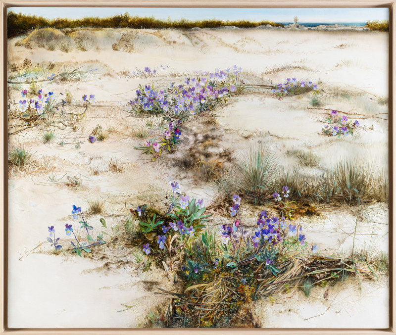 Onutė Juškienė tapytas paveikslas Smėlynų takai, Peizažai , paveikslai internetu