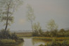 Rimantas Virbickas tapytas paveikslas Vasaros ryte , Peizažai , paveikslai internetu