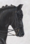 Natalie Levkovska tapytas paveikslas Juodas žirgas ant raudonos šachmatų lentos, Animalistiniai paveikslai , paveikslai inter...