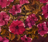 Petunia original painting by Natalie Levkovska. Flowers