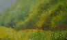 Danutė Virbickienė tapytas paveikslas Ryto tyla, Peizažai , paveikslai internetu