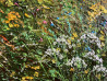 Nijolė Grigonytė-Lozovska tapytas paveikslas Atsigulus pievoje, pasaulis atrodo kitaip 2, Gėlės , paveikslai internetu