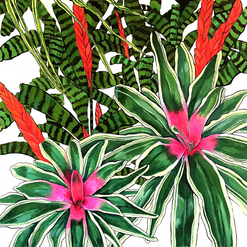 Natalie Levkovska tapytas paveikslas Ficus, Gėlės , paveikslai internetu