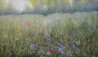 Danutė Virbickienė tapytas paveikslas Vasaros idilė, Peizažai , paveikslai internetu