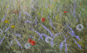 Danutė Virbickienė tapytas paveikslas Vasaros idilė, Peizažai , paveikslai internetu