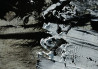 Konstantinas Žardalevičius tapytas paveikslas Suvokimo horizontas, Abstrakti tapyba , paveikslai internetu