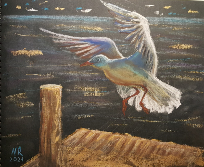 Seagull original painting by Natalija Ranceva. Animalistic Paintings