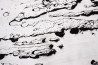 Konstantinas Žardalevičius tapytas paveikslas Mus kažkur neša, Galerija , paveikslai internetu