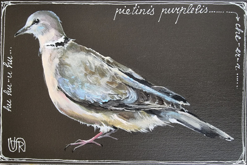 Southern Pigeon original painting by Rasa Tamošiūnienė. Animalistic Paintings