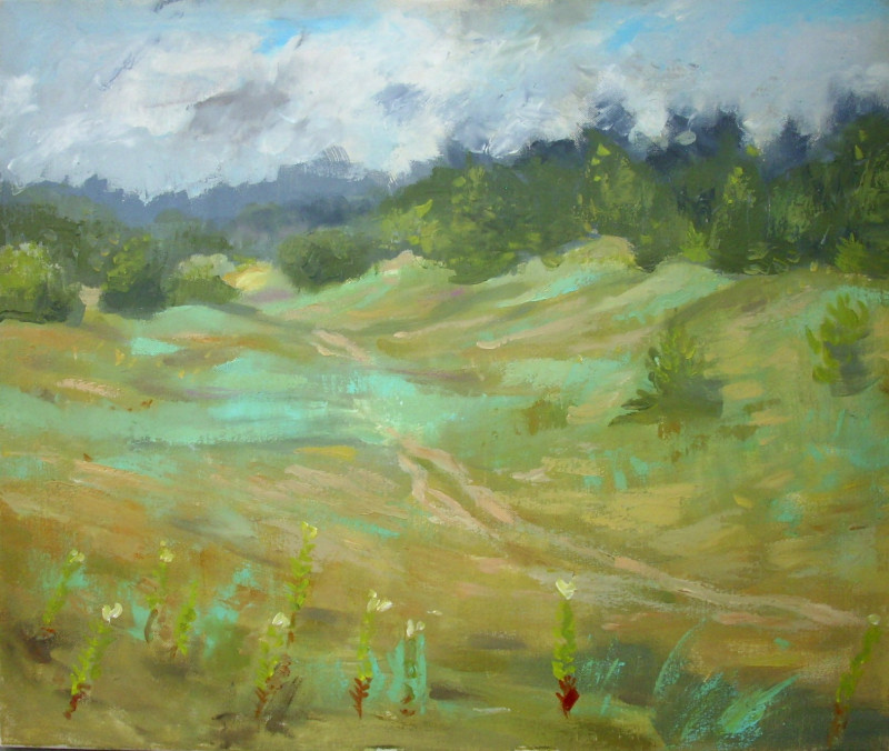 Vidmantas Jažauskas tapytas paveikslas Takelis kopose, Peizažai , paveikslai internetu
