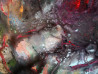 Marius Abramavičius-Neboisia tapytas paveikslas Visata, Abstrakti tapyba , paveikslai internetu