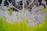 Artūras Braziūnas tapytas paveikslas Laiko prisilietimas, Galerija , paveikslai internetu