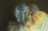 Arūnas Vilkevičius tapytas paveikslas Nakties šviesoje, Gėlės , paveikslai internetu
