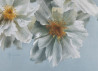 Arūnas Vilkevičius tapytas paveikslas Bijūnai - Krinkled White, Gėlės , paveikslai internetu