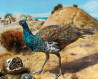 Onutė Juškienė tapytas paveikslas Pamario gyventojai, Animalistiniai paveikslai , paveikslai internetu